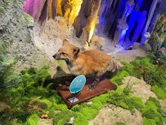 -湖南省地质博物馆