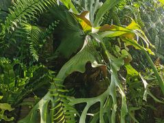 -国家植物园南园