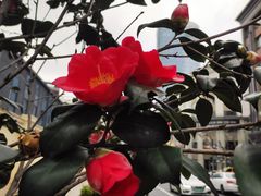 -930私房菜(欧阳路店)