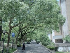 -浙江大学(玉泉校区)