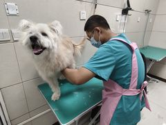 -北京观赏动物医院·24小时大型综合·猫专科·异宠专科