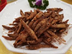美极山坑鱼-姚林轩