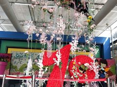 -荷兰花海
