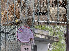 -西安秦岭野生动物园