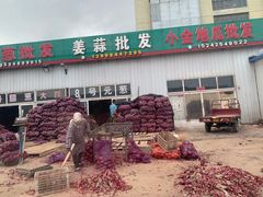 -大连果菜批发市场