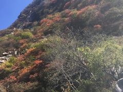 -终南山国家森林公园