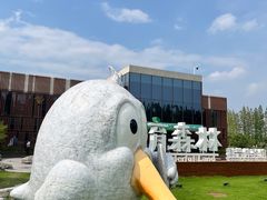 -黄海国家森林公园