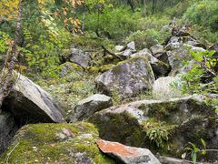 -青峰峡国家森林公园
