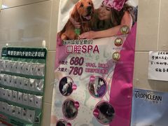 -北京观赏动物医院·24小时大型综合·猫专科·异宠专科