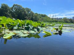 -昆山城市生态森林公园