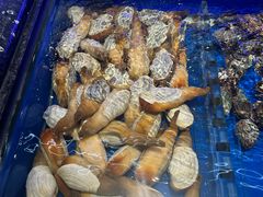 -万宝海鲜舫(劳动公园店)