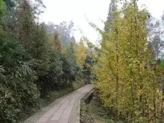 -凤栖山
