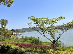 -东钱湖旅游度假区