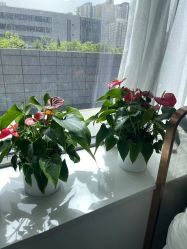 -悟空祛痘·诺奖技术专业店