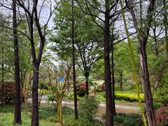 -上海长兴岛郊野公园