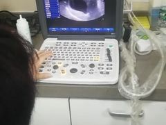 -A猫a狗全科·犬猫异宠·芥西宠物医院(南开总院)
