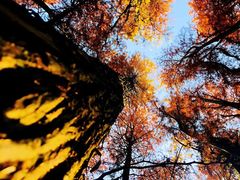 -杭州西湖风景名胜区-满觉陇四眼井