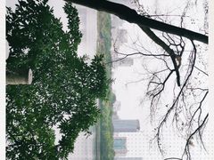 -南宁南湖公园
