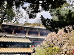 -潭柘寺景区