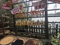 -天目湖山水园