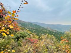 -香山公园