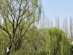 -将府公园