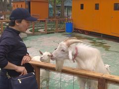 -前小桔亲子创意农场·草莓采摘·露营烧烤