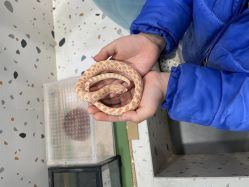 -Moni星球萌宠·小马宝莉·灵蛇·高端高阶全萌宠互动体验俱乐部(红豆国际广场店)
