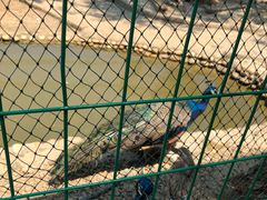 -武汉紫薇都市田园