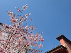 -乌山风景区
