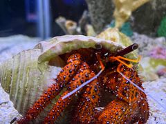 -太平洋海底世界