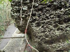 -七仙岭温泉国家森林公园