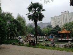 -西苑公园