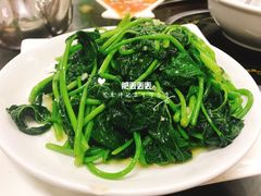 -常来老白莲鹅饭店(老城店)