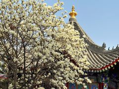 -西安市广仁寺