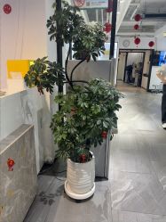 -LJOY丽锦造型·烫发染发