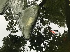 -谷咖啡·鲜花绿植花园餐厅