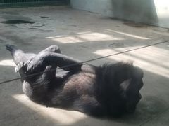 -石家庄市动物园