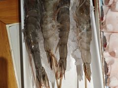 -曲氏老北京铜锅涮肉•火锅(不老街店)