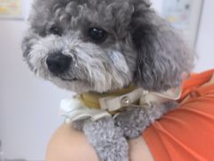 -达爱动物医院·犬猫分区·CT·复杂眼科(远洋山水分院)