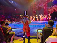 -珠海横琴长隆《卡卡虎奇遇记》