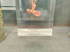 -四川大学博物馆