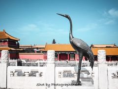 -故宫博物院(故宫)