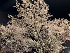 -华中科技大学光谷体育馆