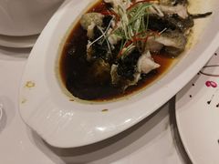 -老绍兴养和饭店(向阳不夜城店)
