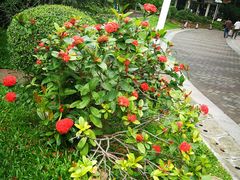 -人民公园(罗湖区)