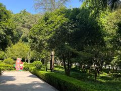 -上海佘山国家森林公园天马山园