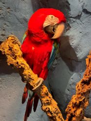 -Zoolung Zoolung动物主题公园(海信广场店)