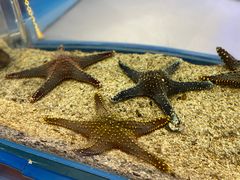 -上海海洋水族馆
