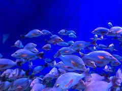 -成都浩海立方海洋公园